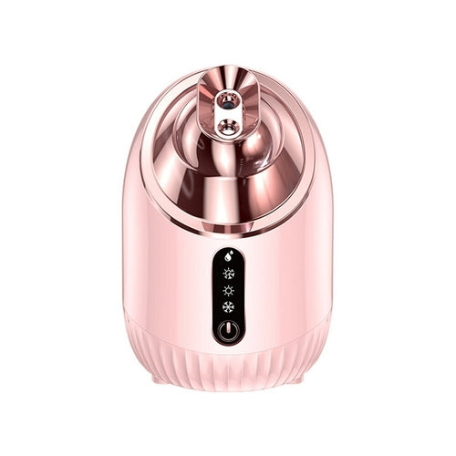 Face Steamer Nano Double Spray Facial Moisturizing Instrument