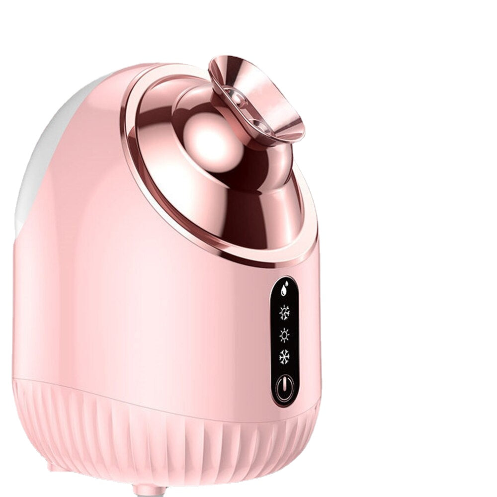 Face Steamer Nano Double Spray Facial Moisturizing Instrument