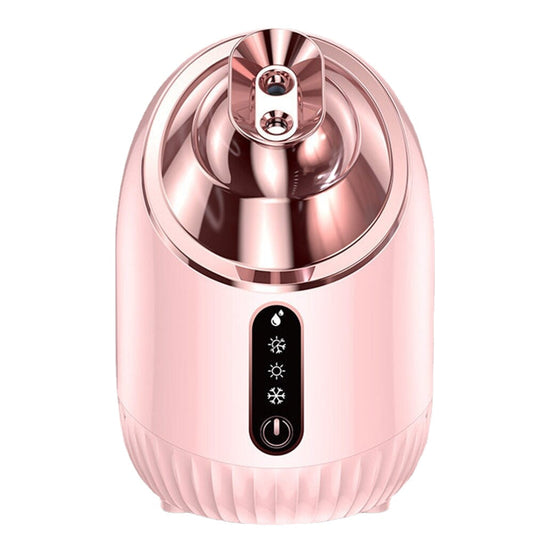 Face Steamer Nano Double Spray Facial Moisturizing Instrument